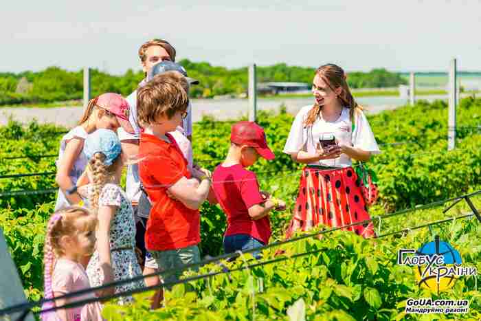 berryland ягідна країна тур із Запоріжжя купити квиток